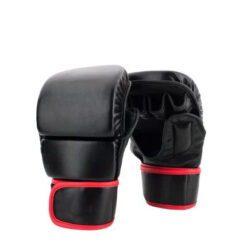 Sparring Gloves